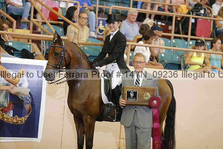 Proof 14yn_09236