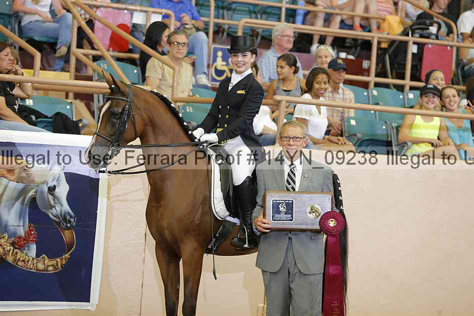 Proof 14yn_09238