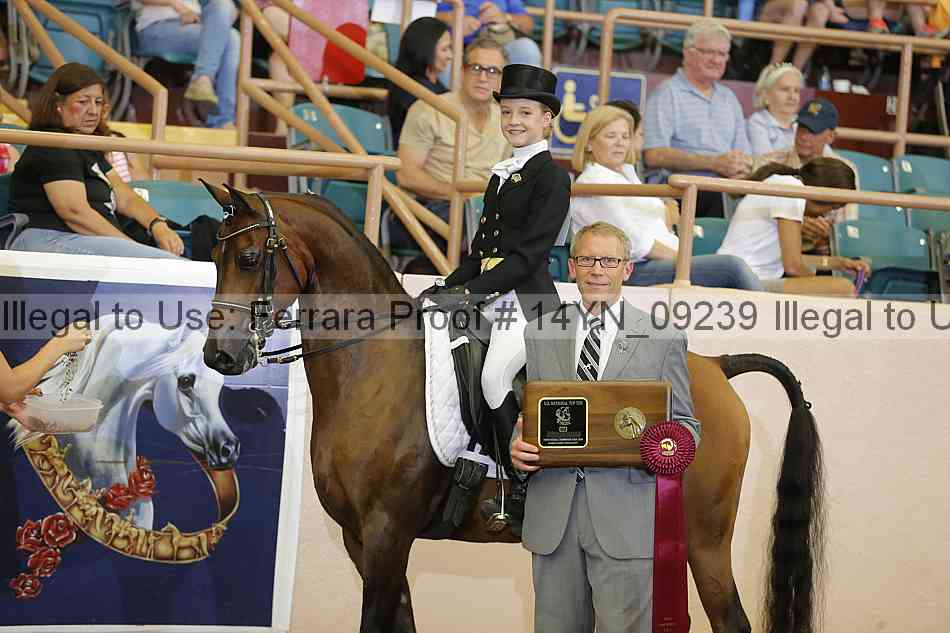 Proof 14yn_09239