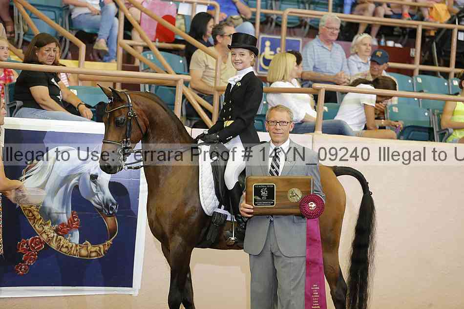 Proof 14yn_09240