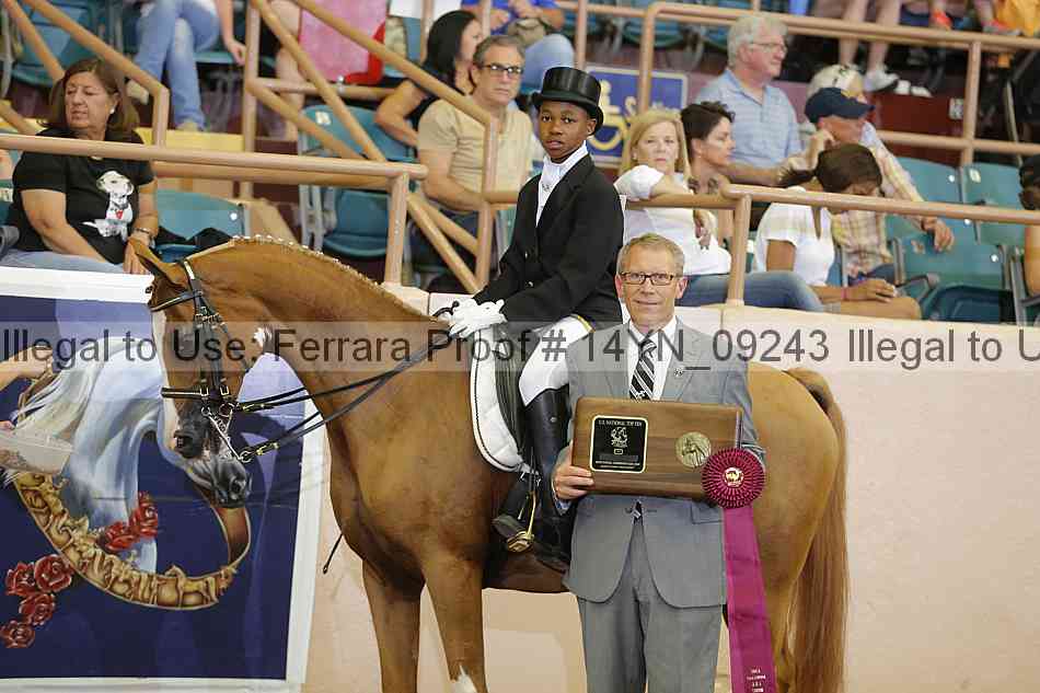 Proof 14yn_09243
