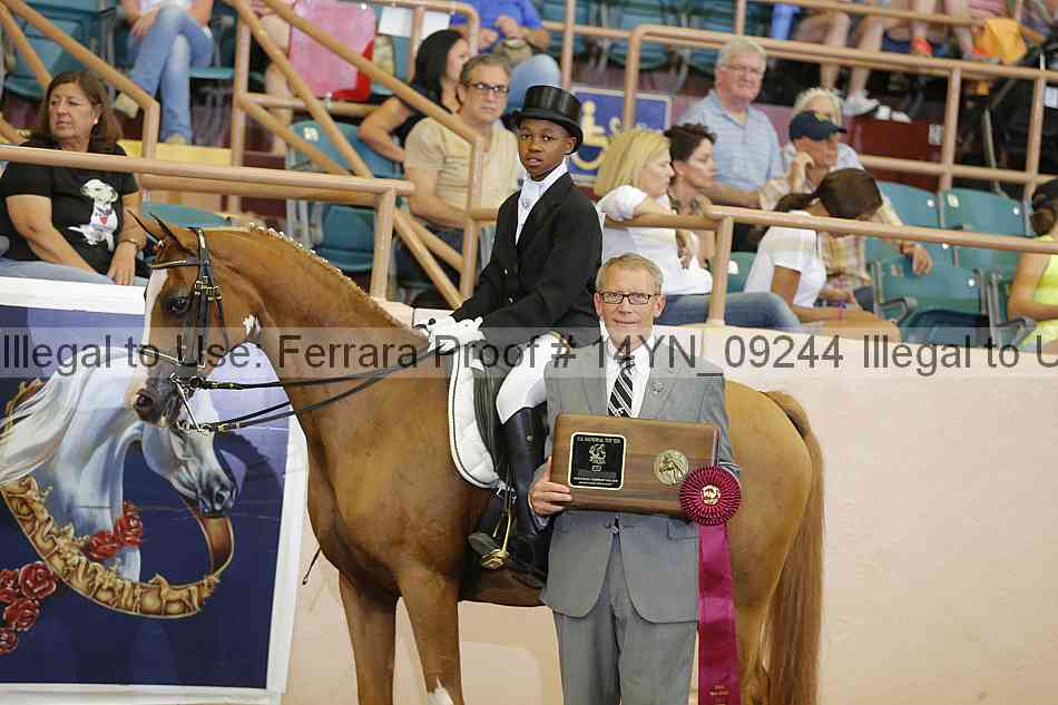 Proof 14yn_09244