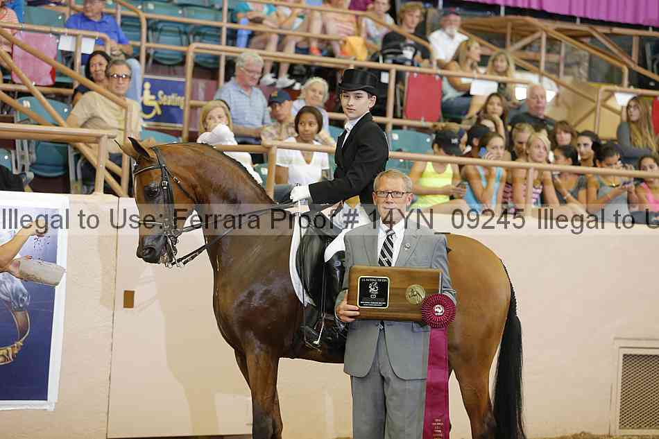 Proof 14yn_09245