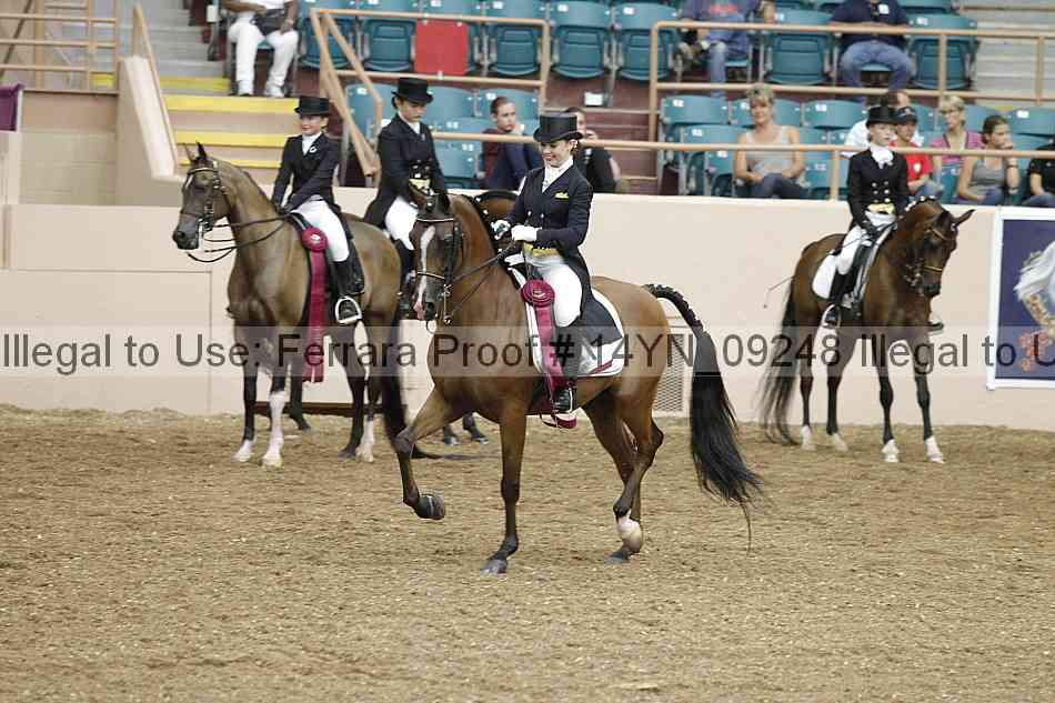 Proof 14yn_09248