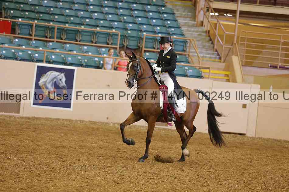 Proof 14yn_09249