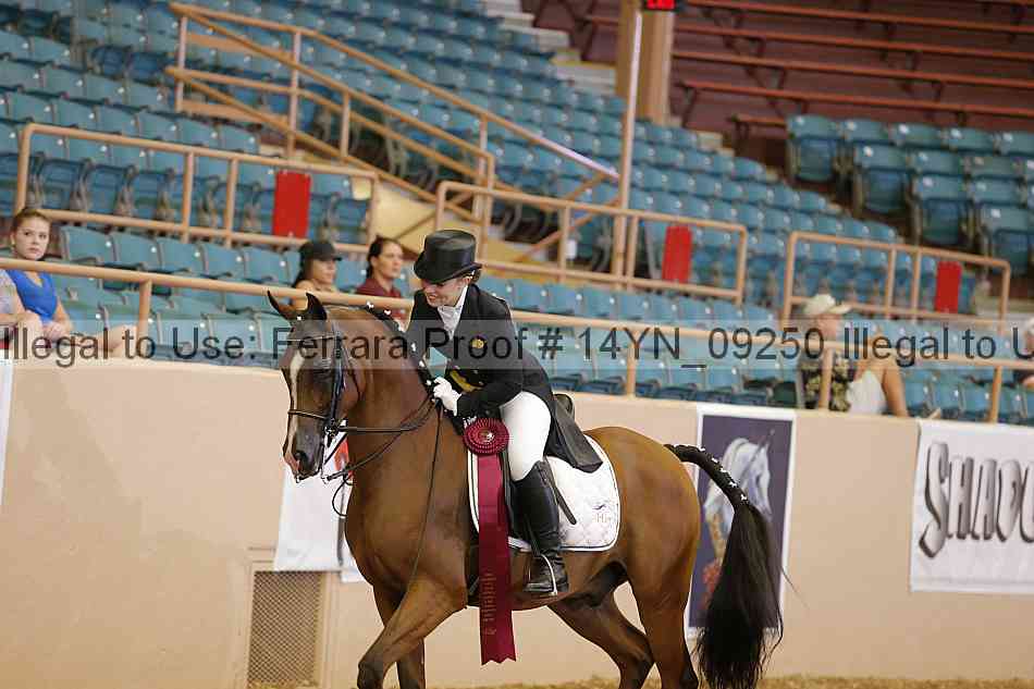 Proof 14yn_09250