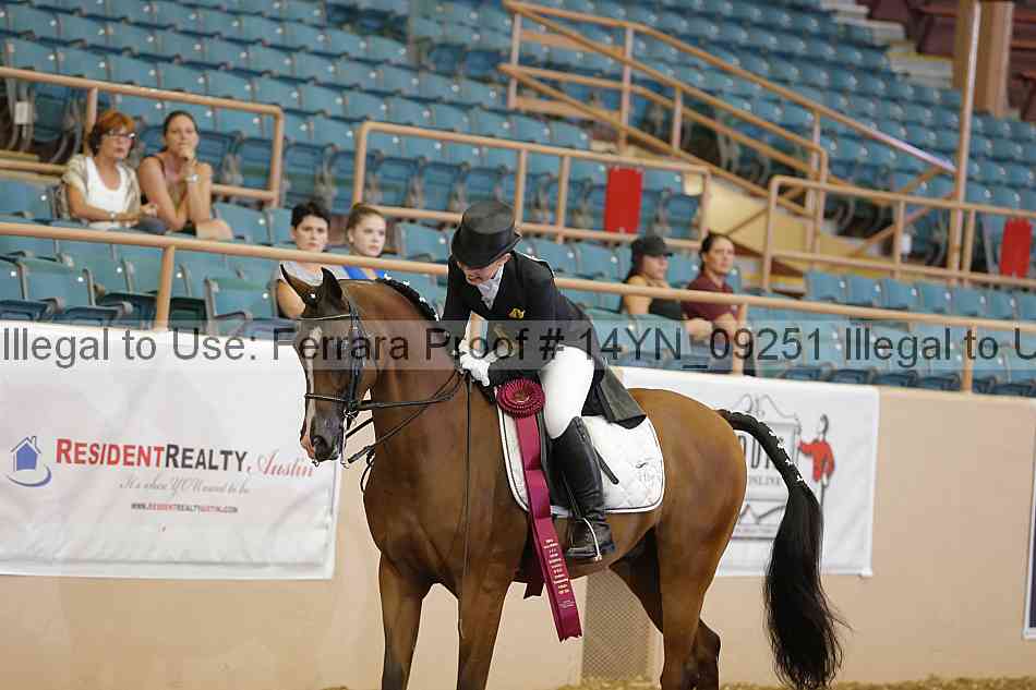 Proof 14yn_09251