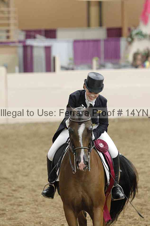 Proof 14yn_09252