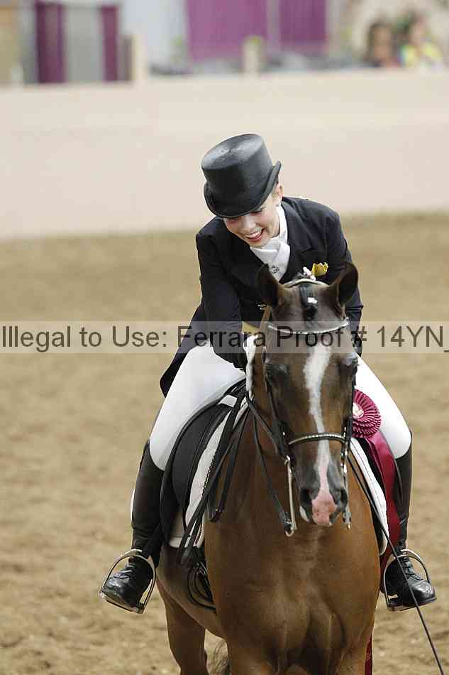 Proof 14yn_09253