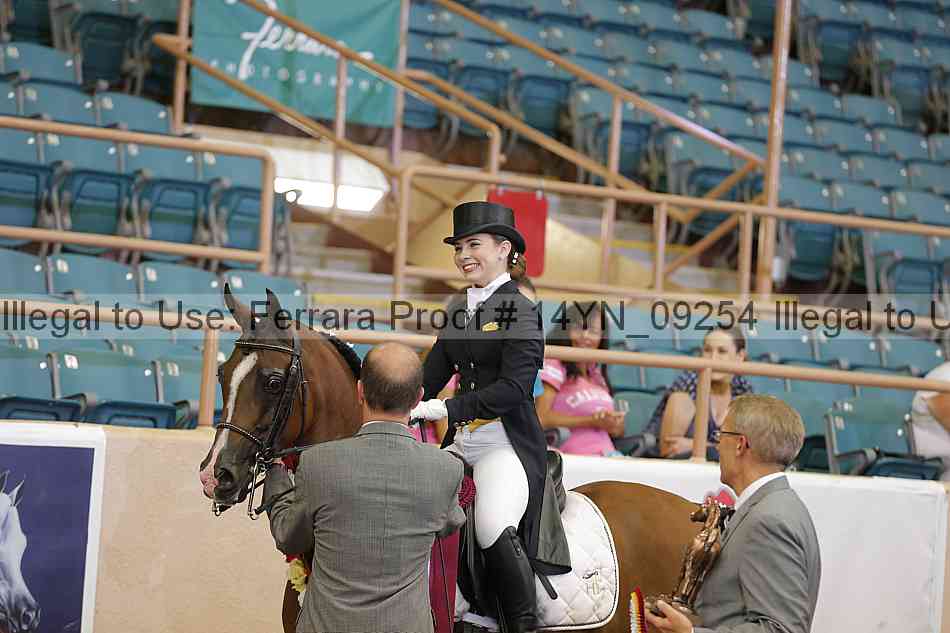 Proof 14yn_09254