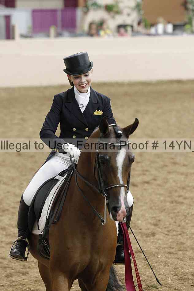 Proof 14yn_09255