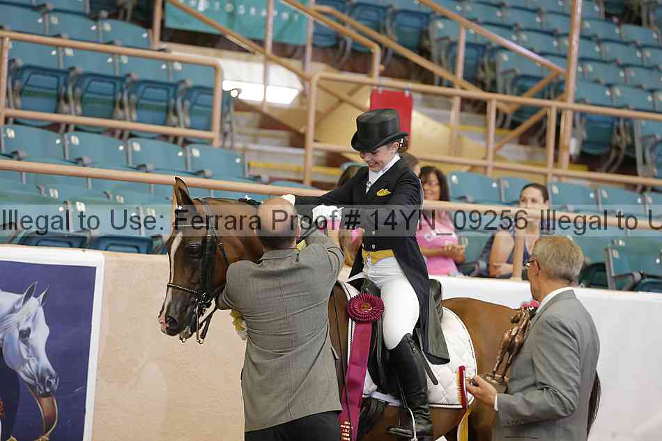 Proof 14yn_09256