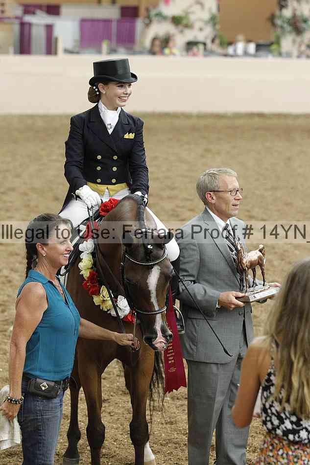 Proof 14yn_09259