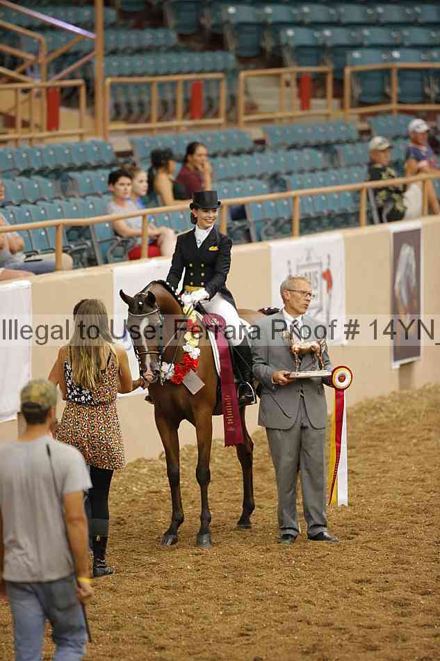 Proof 14yn_09261