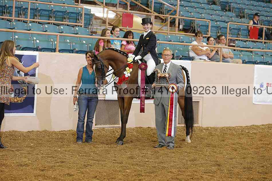 Proof 14yn_09263