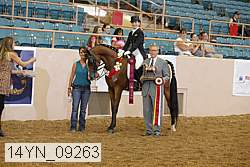 14yn_09263 proof