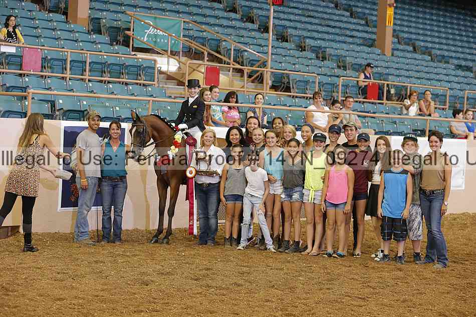 Proof 14yn_09274