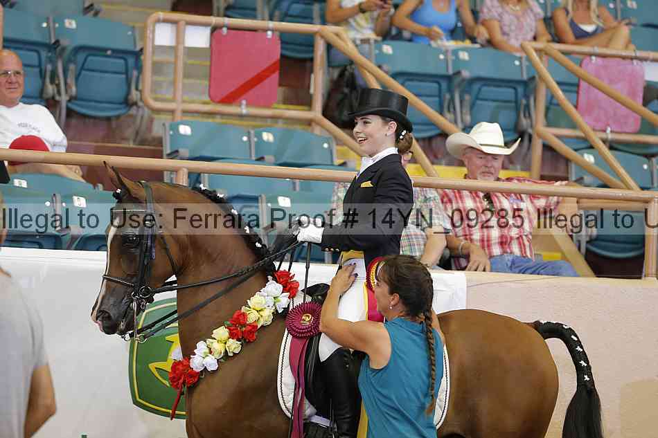 Proof 14yn_09285