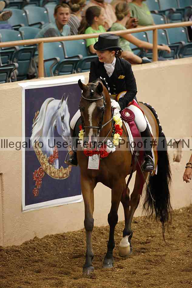 Proof 14yn_09293