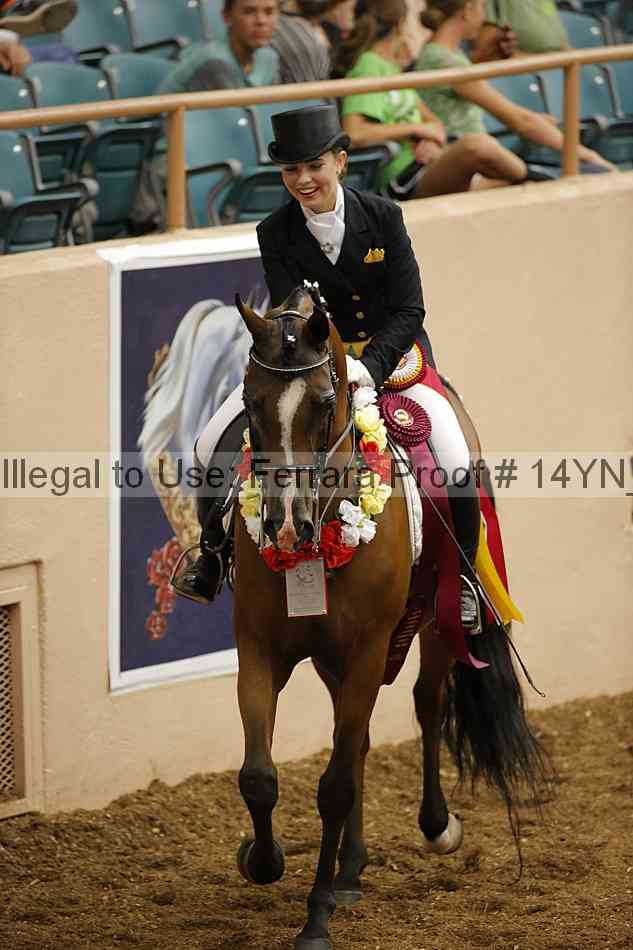 Proof 14yn_09294