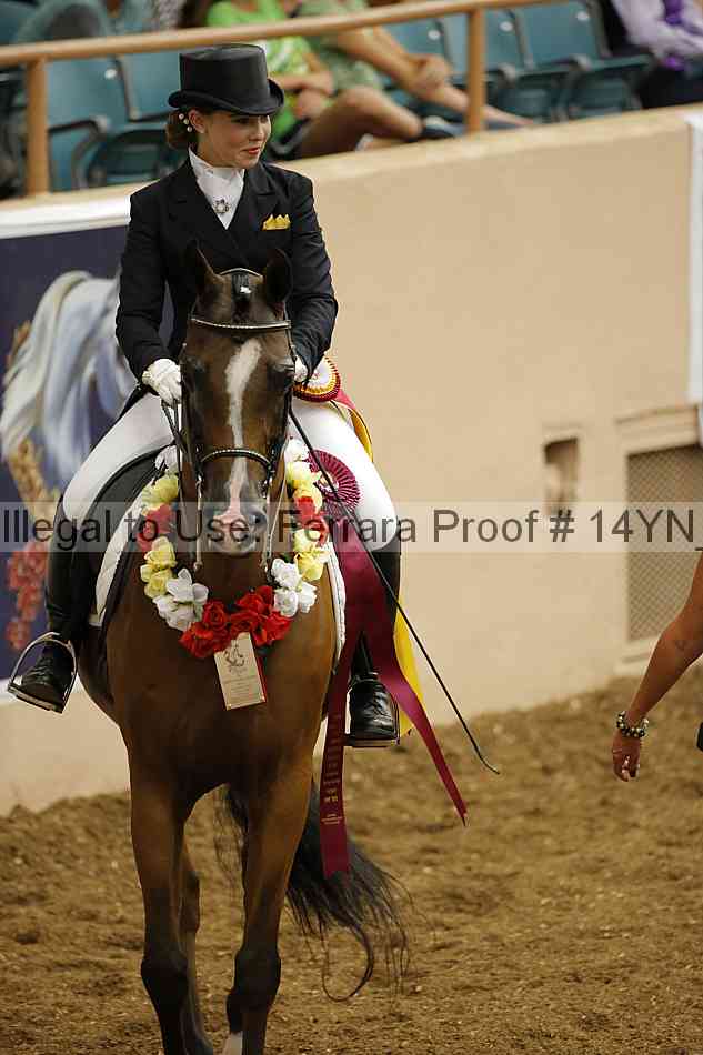 Proof 14yn_09295