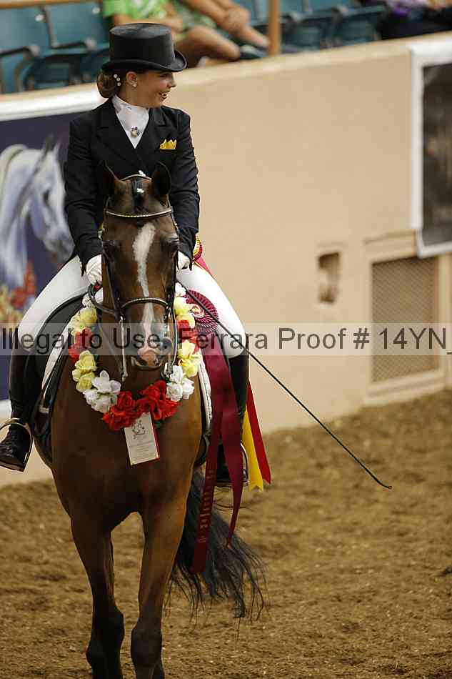 Proof 14yn_09296