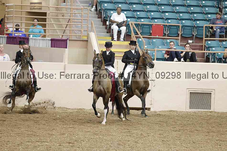 Proof 14yn_09298