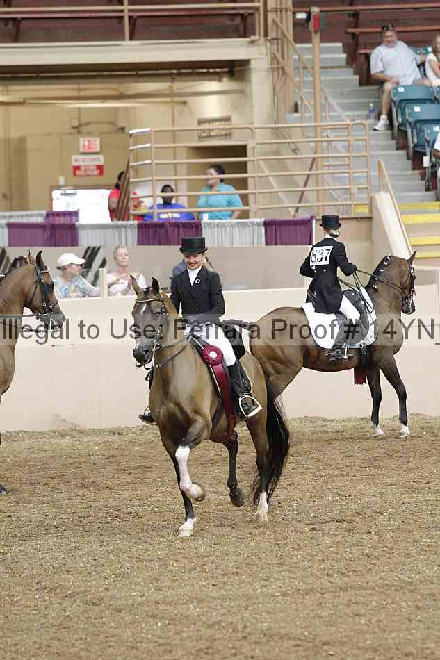 Proof 14yn_09299