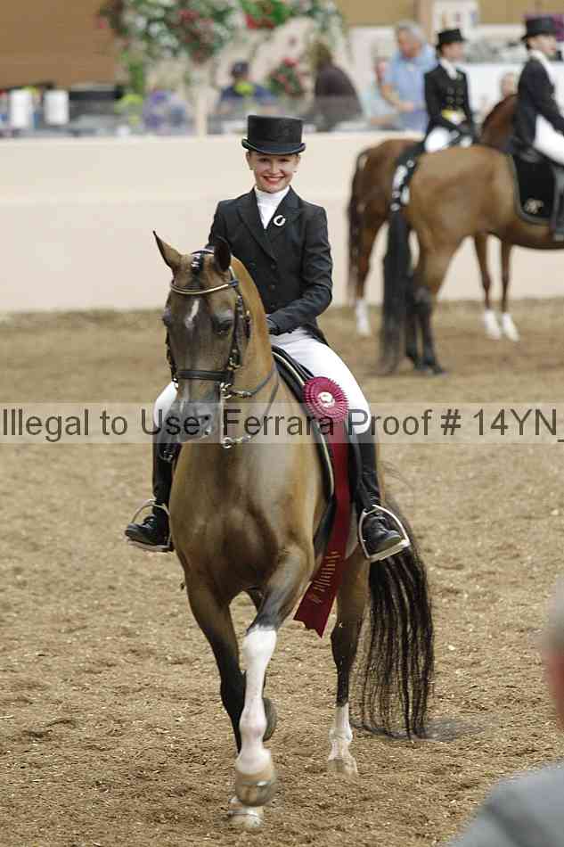 Proof 14yn_09301