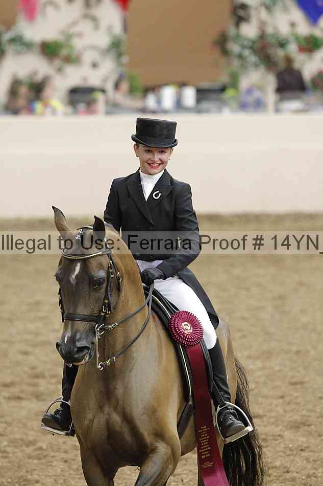 Proof 14yn_09302