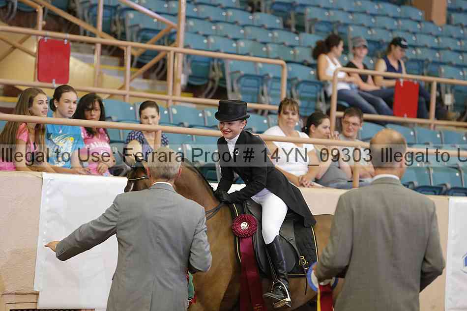 Proof 14yn_09303