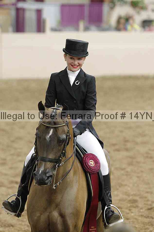 Proof 14yn_09304