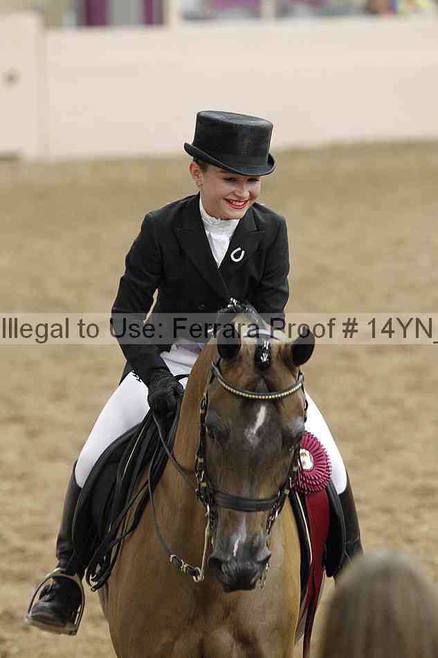 Proof 14yn_09305