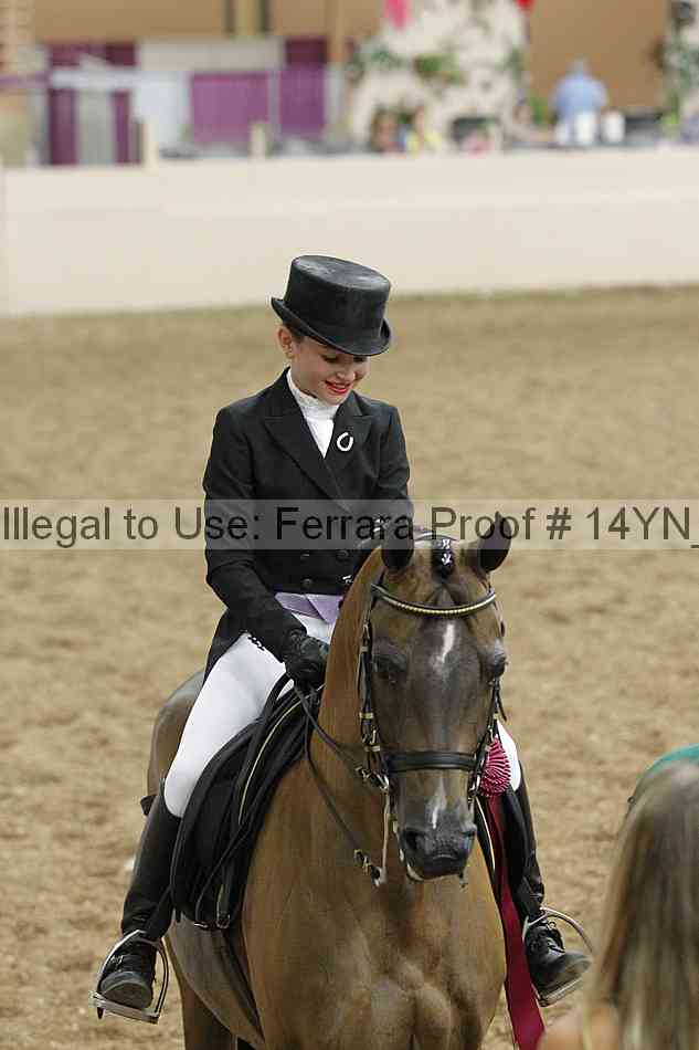 Proof 14yn_09306