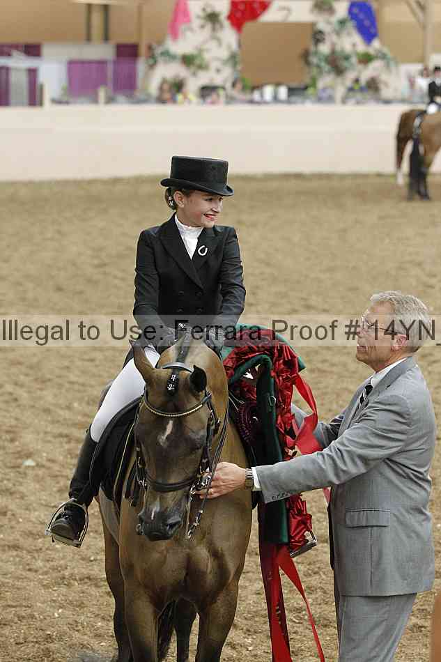 Proof 14yn_09308