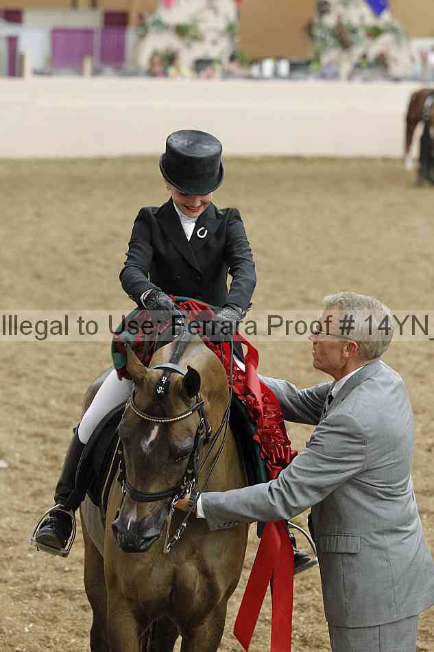 Proof 14yn_09309