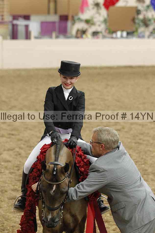 Proof 14yn_09311