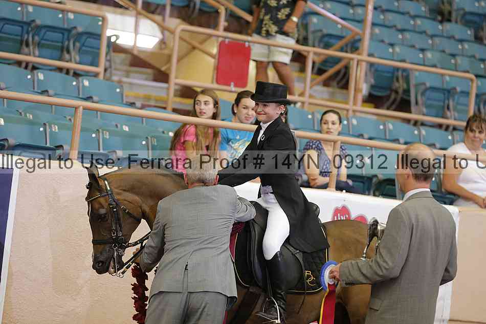 Proof 14yn_09312