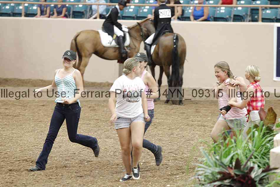Proof 14yn_09315
