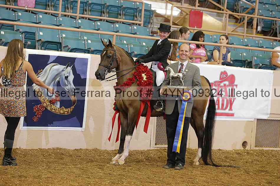 Proof 14yn_09324