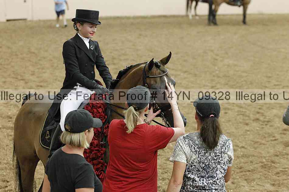 Proof 14yn_09328