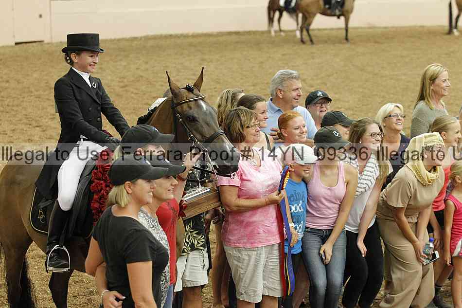 Proof 14yn_09336