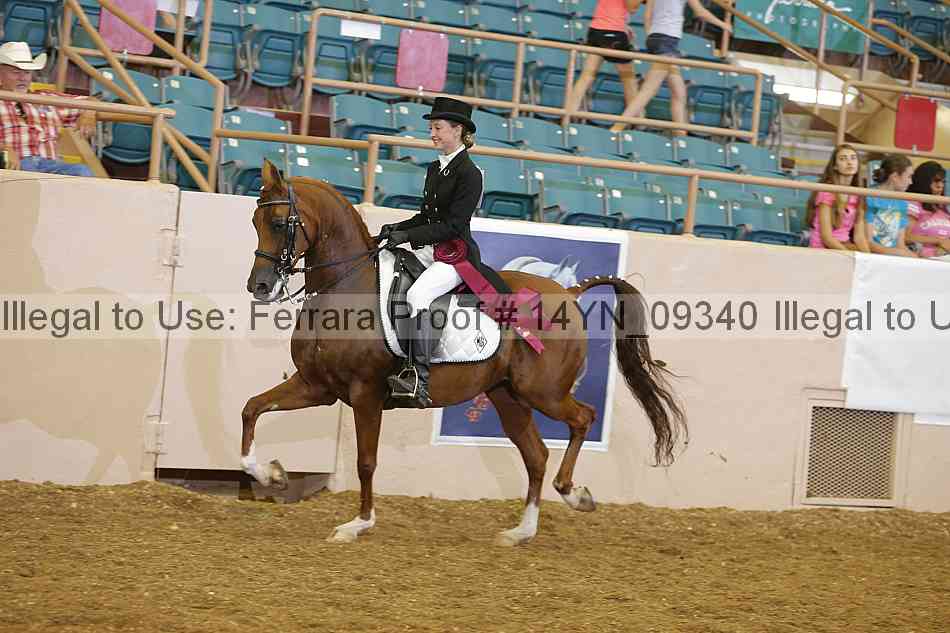 Proof 14yn_09340