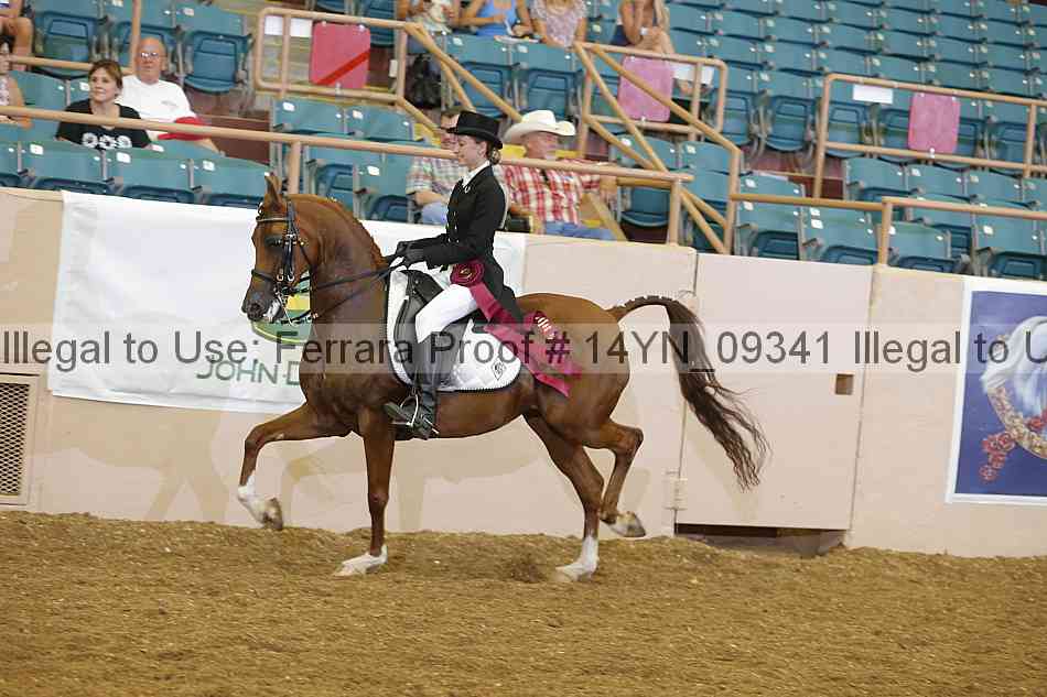 Proof 14yn_09341