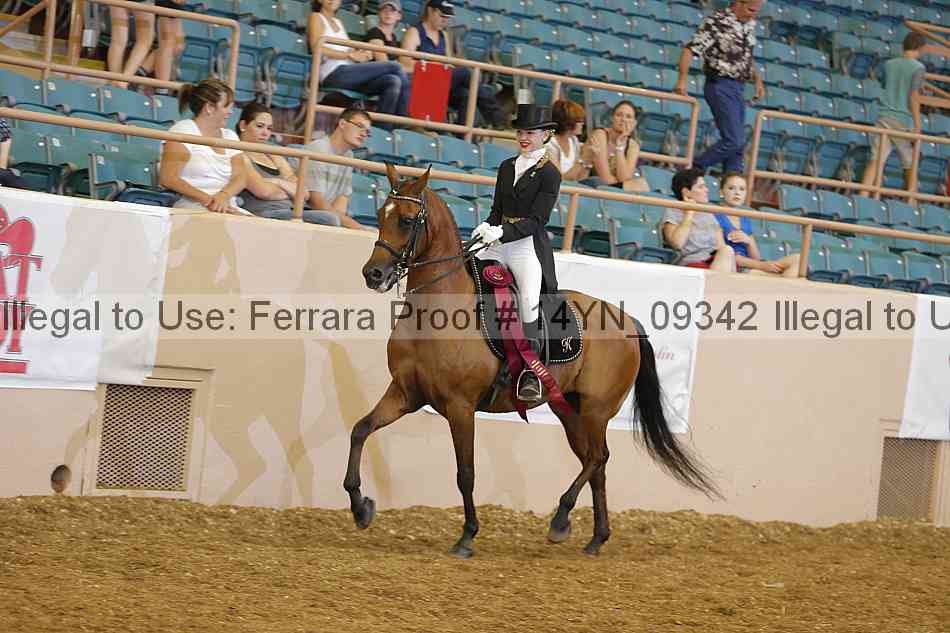Proof 14yn_09342