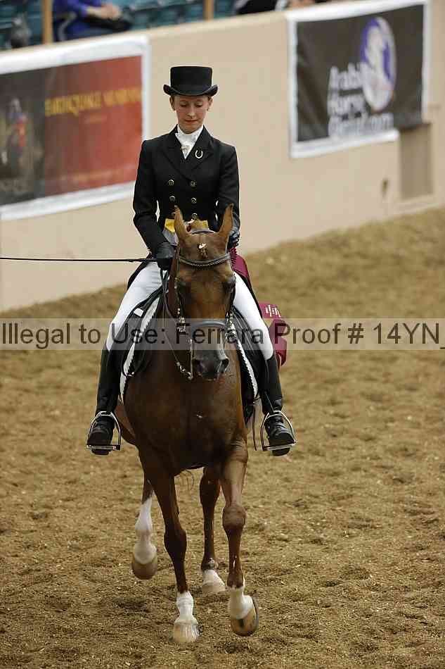 Proof 14yn_09344