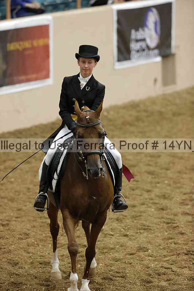 Proof 14yn_09345