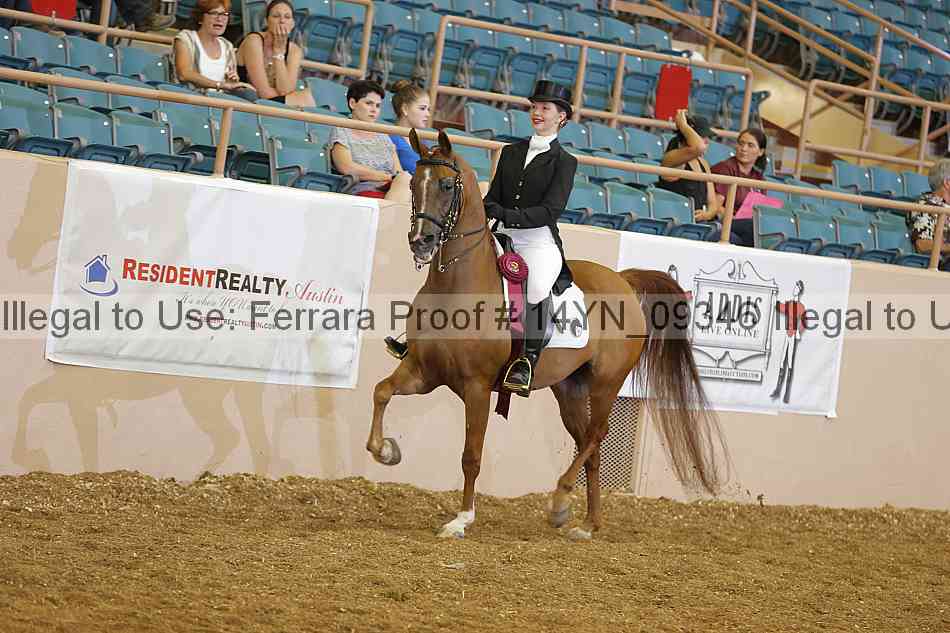 Proof 14yn_09346