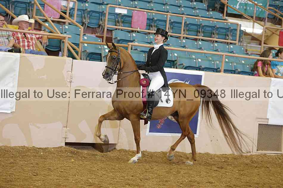 Proof 14yn_09348
