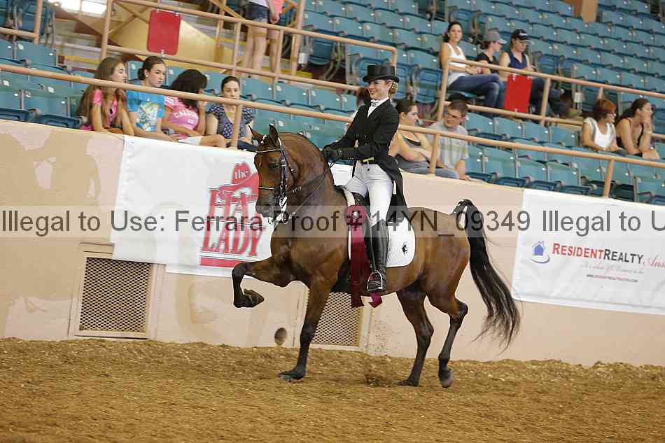 Proof 14yn_09349